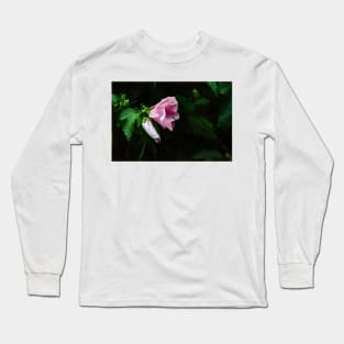 Hyacinth and Sweet Bee Long Sleeve T-Shirt